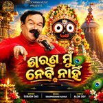 Sarana Mun Nebi Nahin