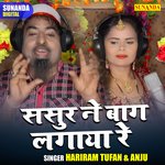 Sasur ne baag lagaya re (Hindi)