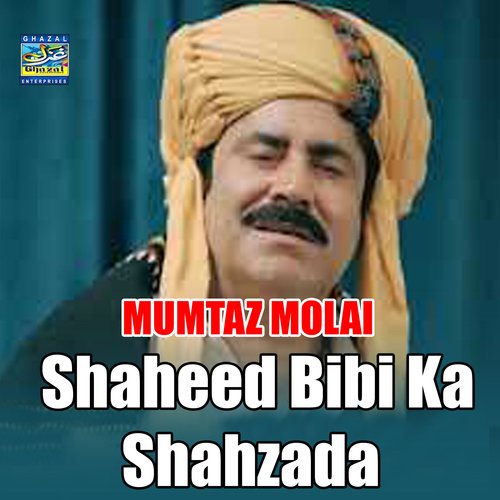 Shaheed Bibi Ka Shahzada