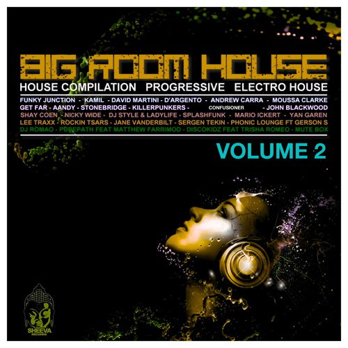 Sheeva Best of Big Room House, Vol. 2