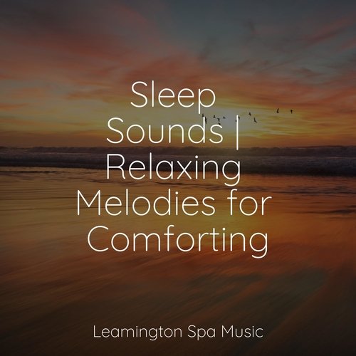 Sleep Sounds | Relaxing Melodies for Comforting