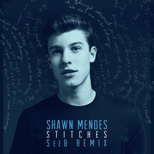 Stitches (Seeb Remix)