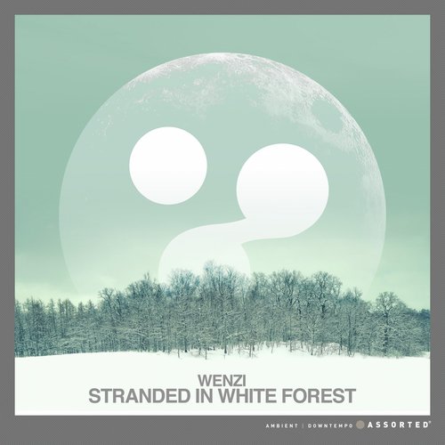 Stranded in White Forest_poster_image