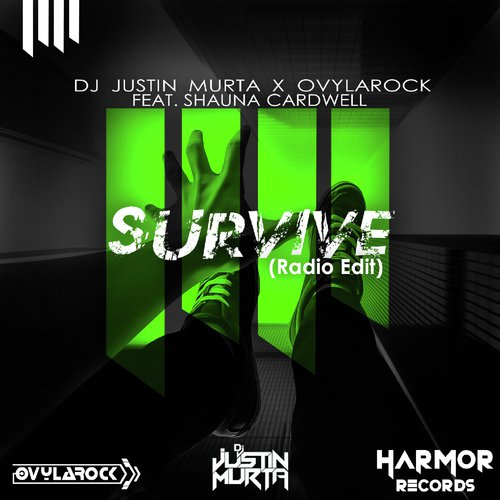 Survive (Radio Edit)