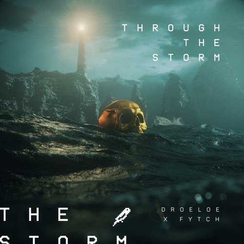 Through The Storm_poster_image