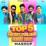 Top 5 Latest Punjabi 2022 (Mashup)