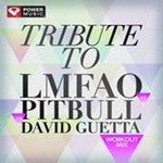 Tribute to Lmfao vs Pitbull vs David Guetta Workout Mix (60 Min Non-Stop Workout Mix (135 BPM) )