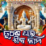 Tunde Thau Shiba Nama