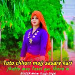 Tuto chhori mojj sasare kari jhutto moy fasai gai thane m