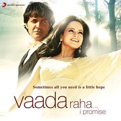 Vaada Raha (Remix)