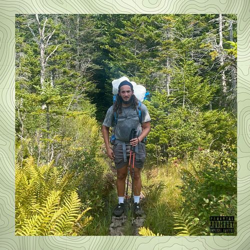 Vices cover art