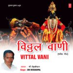 Vittal Vani