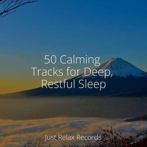 50 Calming Tracks for Deep, Restful Sleep