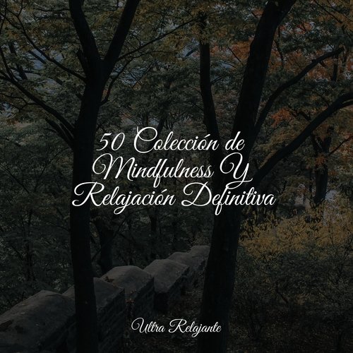 50 Colección de Mindfulness Y Relajación Definitiva