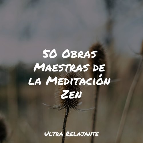 50 Obras Maestras de la Meditación Zen_poster_image