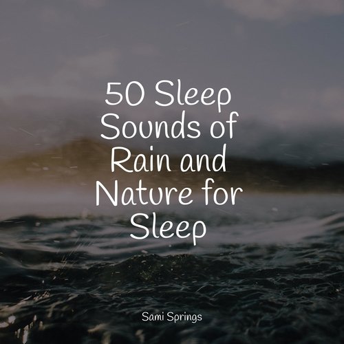 50 Sleep Sounds of Rain and Nature for Sleep