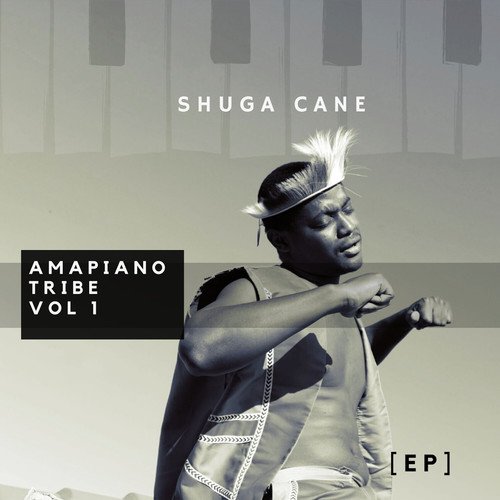 Amapiano Tribe, Vol. 1_poster_image