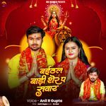 Baithal Badi Sher Pe Sawar