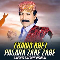 Chawo Bhej Pagara Zare Zare-OCpeW0Z3Ums