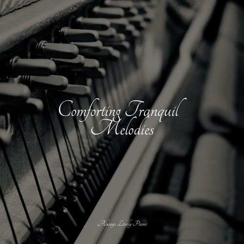 Comforting Tranquil Melodies