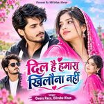Dil Hai Hamara Khilona Nahi