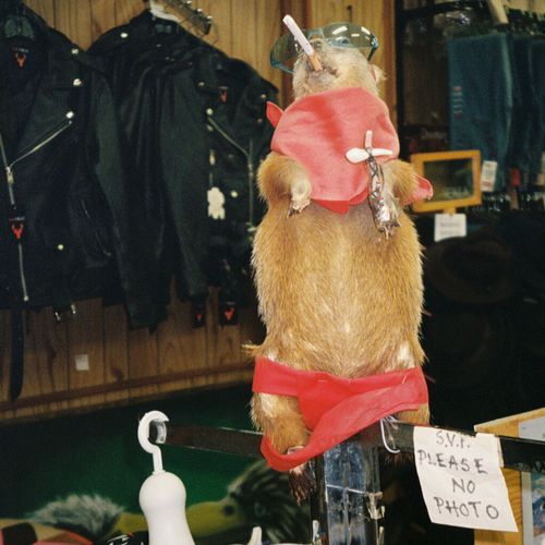 Don't Wanna Know / Rock & Roll Queen