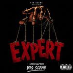 Expert