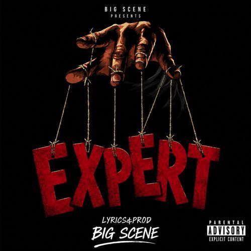 Expert