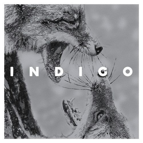 Franz cover art