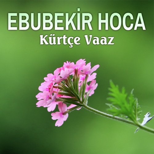 Kabir Azabı