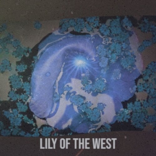 Lily of the West