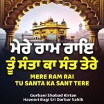 Mere Ram Rai Tu Santa Ka Sant Tere artwork