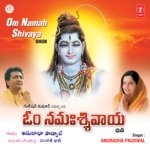 Om Namah Shivaya (Dhun)
