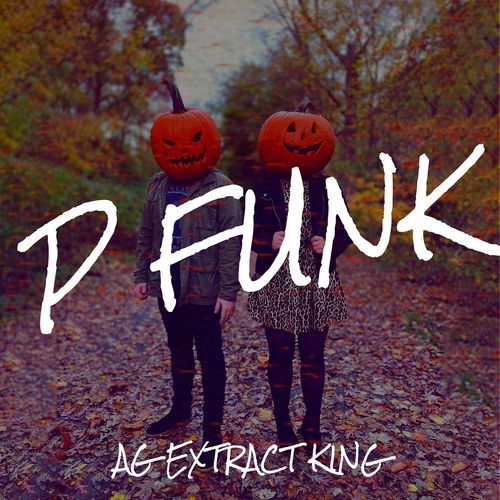 P Funk cover art