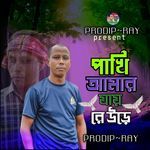 Pakhi Amar Jayre ure