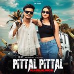 Pittal Pittal (feat. Anamika Rajput)