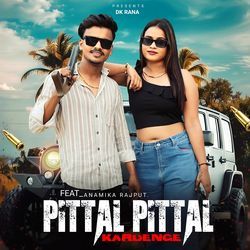 Pittal Pittal (feat. Anamika Rajput)