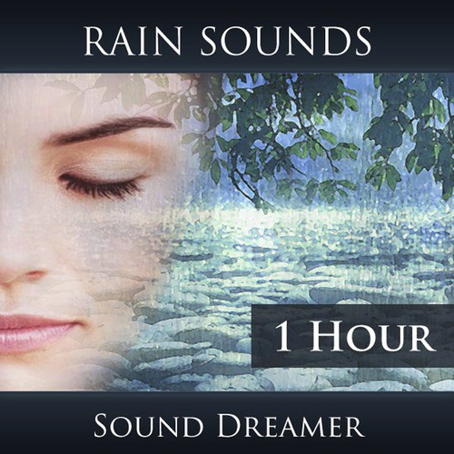 Rain Sounds - 1 Hour