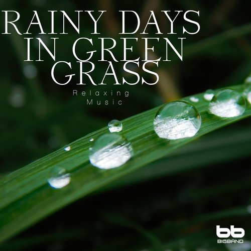 Rainy Days in Green Grass