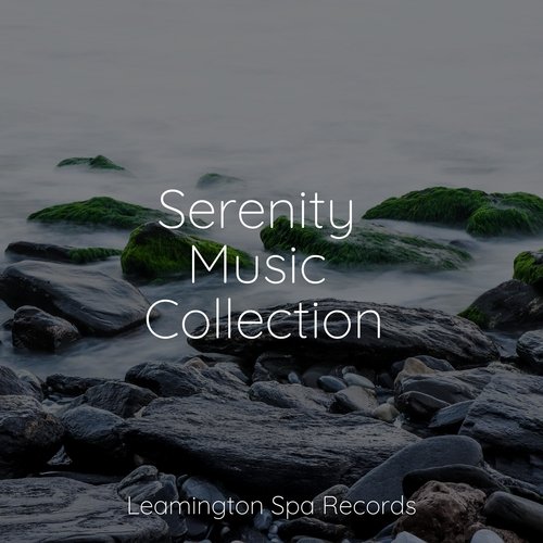 Meditating Music cover art