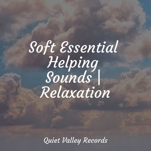 Sleepy Head cover art