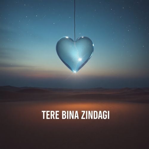 Tere Bina Zindagi
