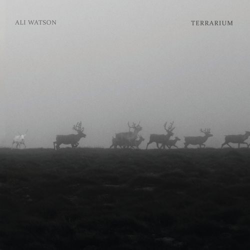Glen cover art
