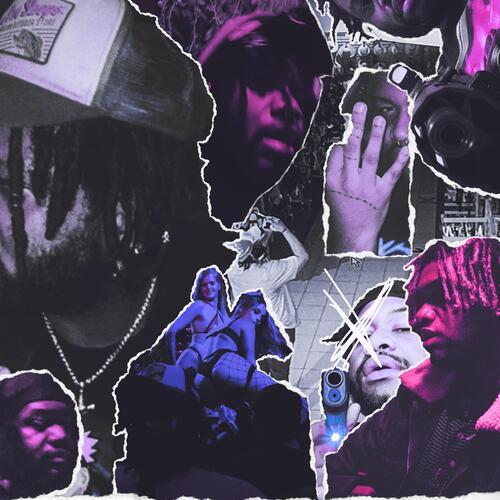 mink cover art