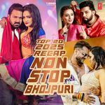 Top 20 2025 Recap Non Stop Bhojpuri