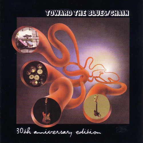 Toward The Blues  30th Anni Versary Edition_poster_image