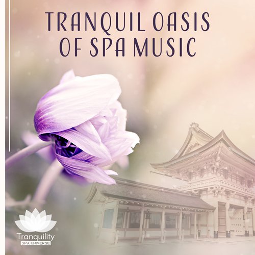 Relaxing Spa Zone cover art