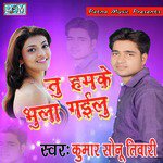 Tu Hamake Bhula Gailu