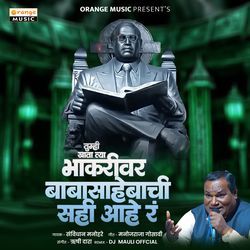 Tumhi Khata Tya Bhakari Ver Baba Sahebachi Sahi Hay Ra (Dj Mauli Official)