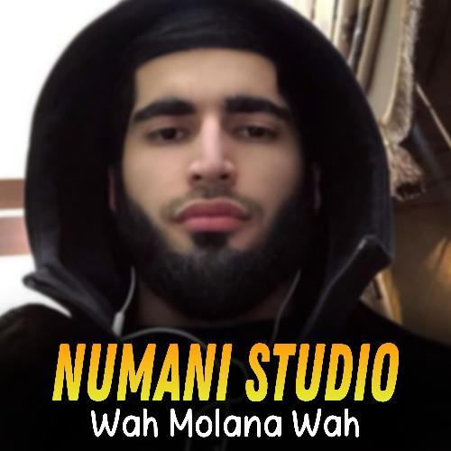 Wah Molana Wah